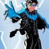 Nightwing paint by number