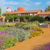 San Juan Capistrano paint by number