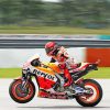 Aesthetic Repsol Honda Racing paint by numbers