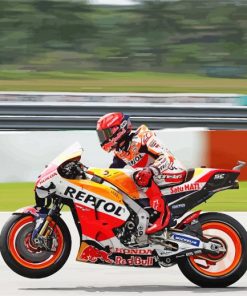 Aesthetic Repsol Honda Racing paint by numbers