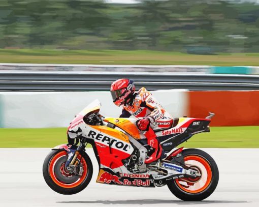 Aesthetic Repsol Honda Racing paint by numbers