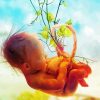 Fetus paint by numbers
