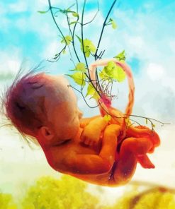 Fetus paint by numbers