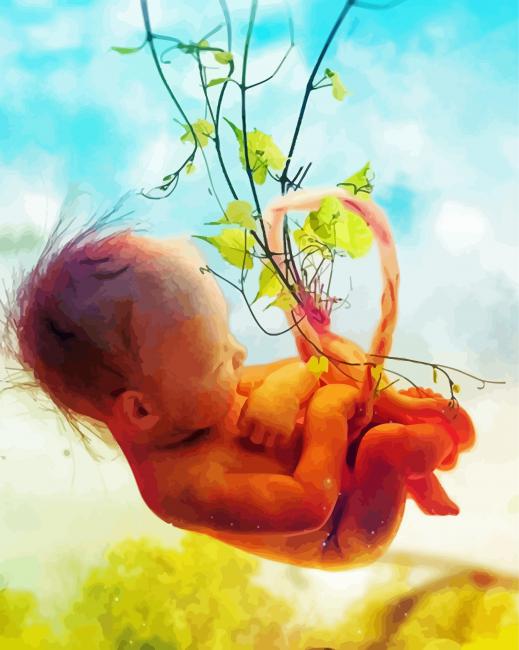 Fetus paint by numbers