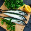 Aesthetic Mackerel Fish paint by numbers