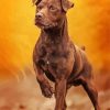 Patterdale Terrier Dog paint by numbers