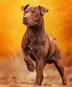 Patterdale Terrier Dog paint by numbers