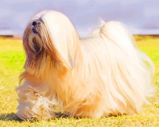 Aesthetic Lhasa Apso Dog paint by numbers