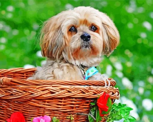 Aesthetic Lhasa Apso paint by numbers