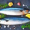 Aesthetic Mackerel paint by numbers