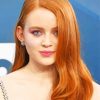 Sadie Elizabeth Sink paint by numbers