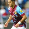 Anass Zaroury Burnley Paint by numbers