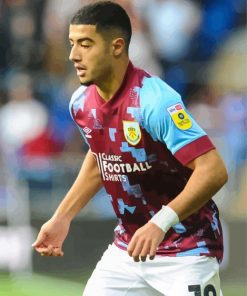 Anass Zaroury Burnley Paint by numbers