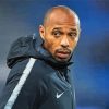 Thierry Henry Footballer Paint By Numbers