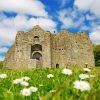 Oystermouth Castle Swansea Paint By Numbers