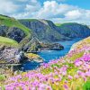 St Abbs Head Coldingham Paint By Numbers