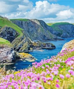 St Abbs Head Coldingham Paint By Numbers