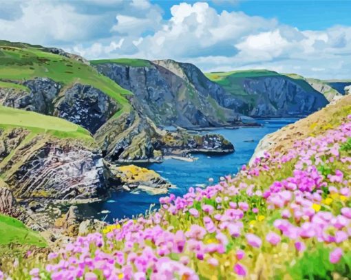 St Abbs Head Coldingham Paint By Numbers