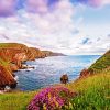 St Abbs Head Coldingham Paint By Numbers