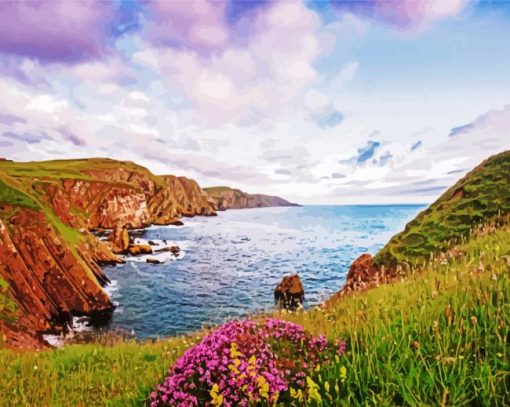 St Abbs Head Coldingham Paint By Numbers
