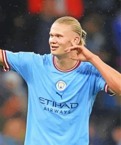 Footballer Erling Haaland Paint By Numbers "