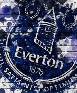 Everton Football Club Paint By Numbers