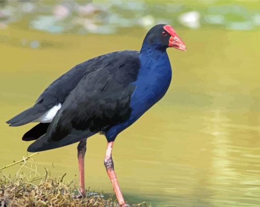 Pukeko Paint By Numbers