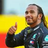 Race-Car-Driver-Sir-Lewis-Hamilton-paint-by-number