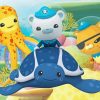 The Octonauts Characters Paint By Numbers