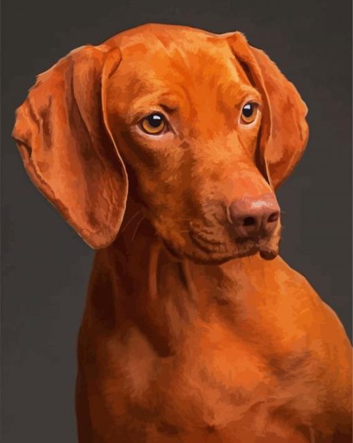 Brown Vizsla Paint By Numbers