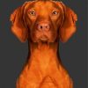 Cute Brown Vizsla Dog Paint By Numbers