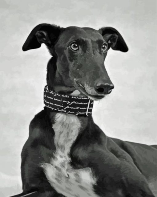 Monochrome Black Lurcher Paint By Numbers