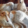 Borzoi Dogs Paint By Numbers