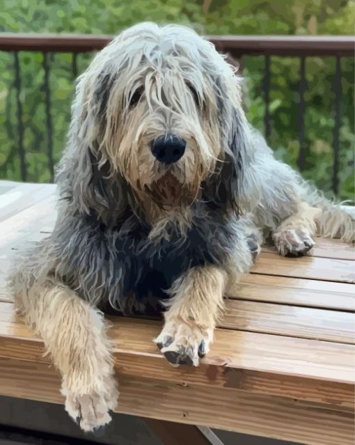 Otterhound Dog paint By Numbers