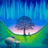 Sycamore Gap Paint By Numbers