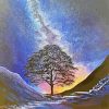 Starry Night Sycamore Gap Paint By Numbers