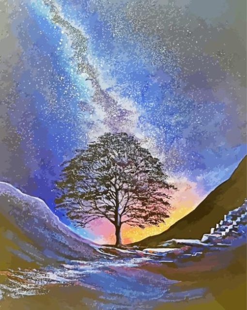 Starry Night Sycamore Gap Paint By Numbers
