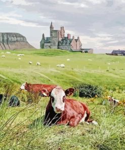 Classiebawn Castle Ireland Paint By Numbers