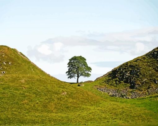Sycamore Gap Paint By Numbers