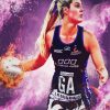 Netball Firebird Paint By Numbers