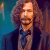 Aesthetic Sirius Black Paint By Numbers