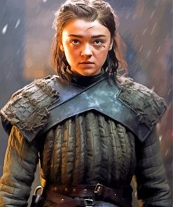 Arya Stark GOT Paint By Numbers