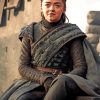 Arya Stark Game of thrones Paint By Numbers