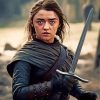 Arya Stark Paint By Numbers
