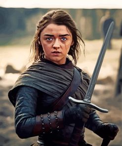 Arya Stark Paint By Numbers