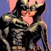 Batman And Catwoman Paint By Numbers