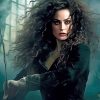 Bellatrix Lestrange Paint By Numbers