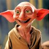 Dobby Paint By Numbers