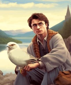 Harry Potter And Bird Paint By Numbers