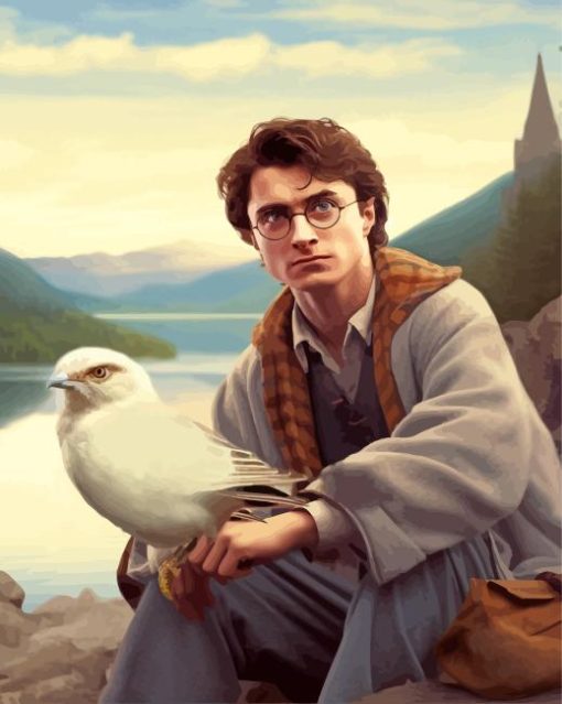 Harry Potter And Bird Paint By Numbers